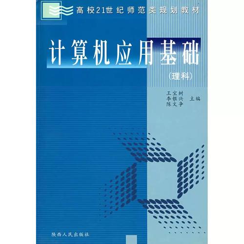 二手正版計(jì)算機(jī)應(yīng)用基礎(chǔ) 軟件開發(fā)入門的智慧之選